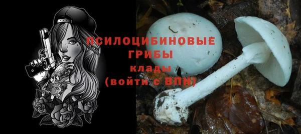 гашишное масло Богородицк